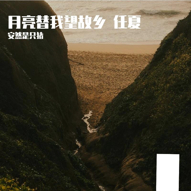 月亮替我望故鄉任夏 海報