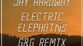 Electric Elephants (G&G Remix)专辑