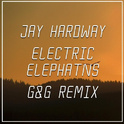 Electric Elephants (G&G Remix)专辑