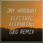 Electric Elephants (G&G Remix)专辑