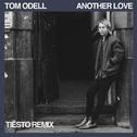 Another Love (Tiësto Remix)专辑