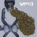 Santogold专辑