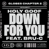 Holy Goof - Down For You