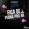 Dj Pedrin Souza - FICA DE PERNA PRO AR (feat. Mc Jamaica Jl)