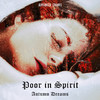 Poor In Spirit - Nostradamus (New Mix)