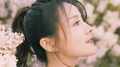 愿时光温柔以待专辑