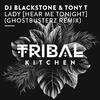 DJ Blackstone - Lady (Hear Me Tonight) [Ghostbusterz Remix]