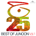 Best Of Junoon (Vol. 1)