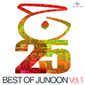 Best Of Junoon (Vol. 1)专辑