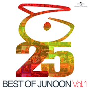 Best Of Junoon (Vol. 1)