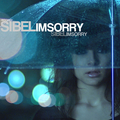 I\'m Sorry (US Single Remix)