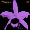 Damaso - Between Nights