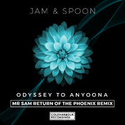 Odyssey to Anyoona