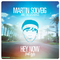 Martin Solveig & The Cataracs Kyle专辑