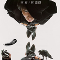 黑胶