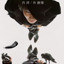 黑胶