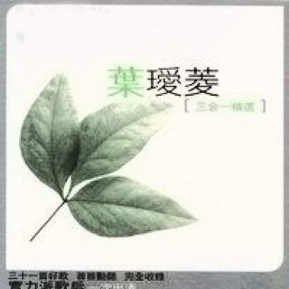殘缺的溫柔 海報