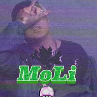 MoLiBoi资料,MoLiBoi最新歌曲,MoLiBoiMV视频,MoLiBoi音乐专辑,MoLiBoi好听的歌