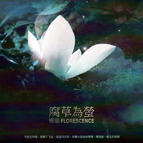 瀘沽寻梦 banner