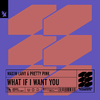 Maxim Lany - What If I Want You (Extended Mix)