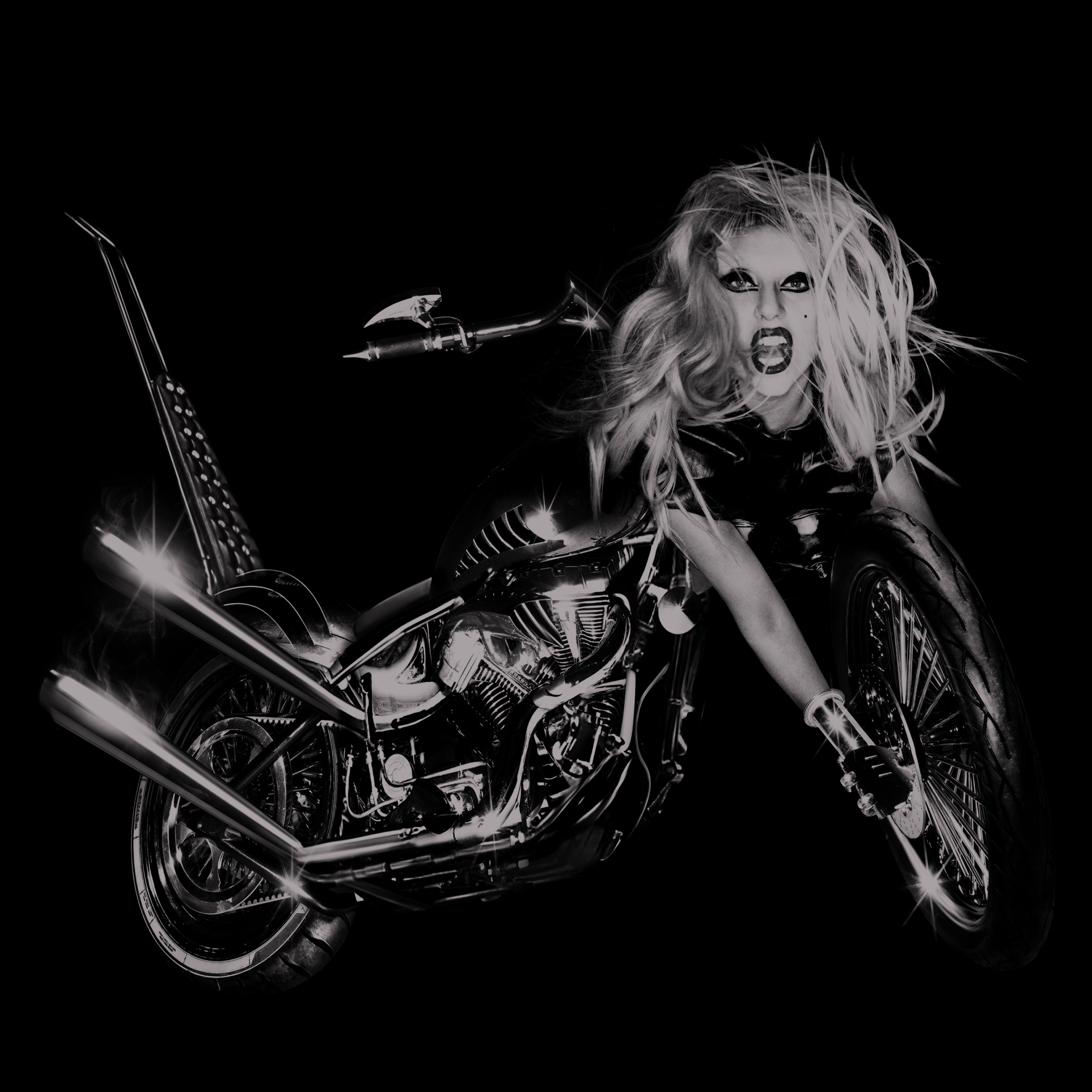 Government Hooker banner