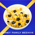 Honey Family BeeHive Project Vol.2