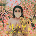 蜂和蜜 (feat. 影子计划 Shadow Project)专辑