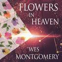Flowers In Heaven专辑