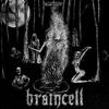 Braincell - Deceit of Memory