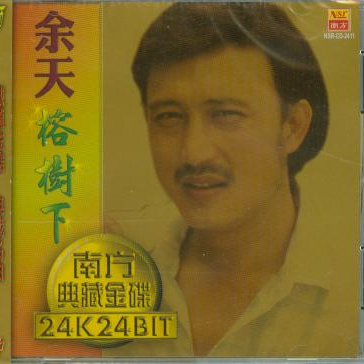爱你爱在心坎里 海报