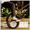 Frank Ocean - Biking