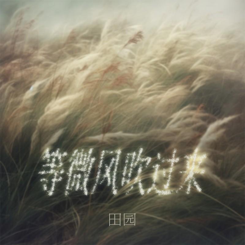 等微风吹过来 (DJ铁柱版) banner