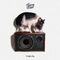 Truffle Pig专辑