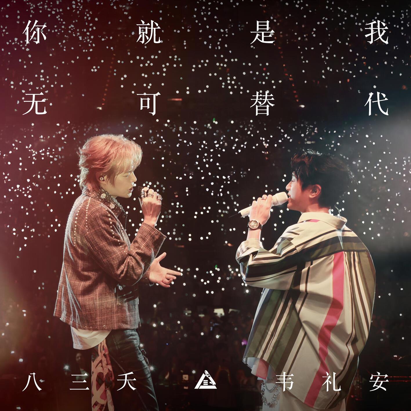 你就是我無可替代 (Live) 海報