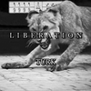 Bobina - Liberation