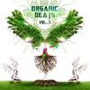 VA Organic Beats Vol. 3 - Deep Fried Dub