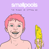 Smallpools - Mother