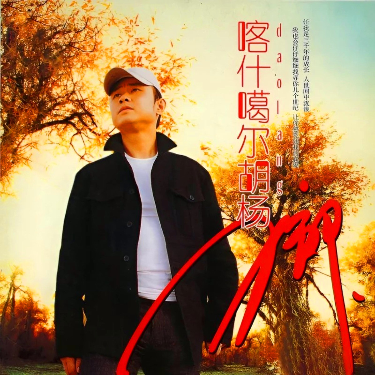 喀什噶爾胡楊 banner