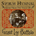 Storm Hymnal: Gems from the Vault of Grant Lee Buffalo专辑