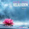Anthony Alleeson - Relaxation