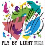 Fly By Light专辑