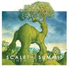 Scale The Summit - Willow
