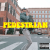 Ant Saunders - Pedestrian