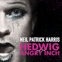 Hedwig and the Angry Inch (Original Broadway Cast Recording)专辑