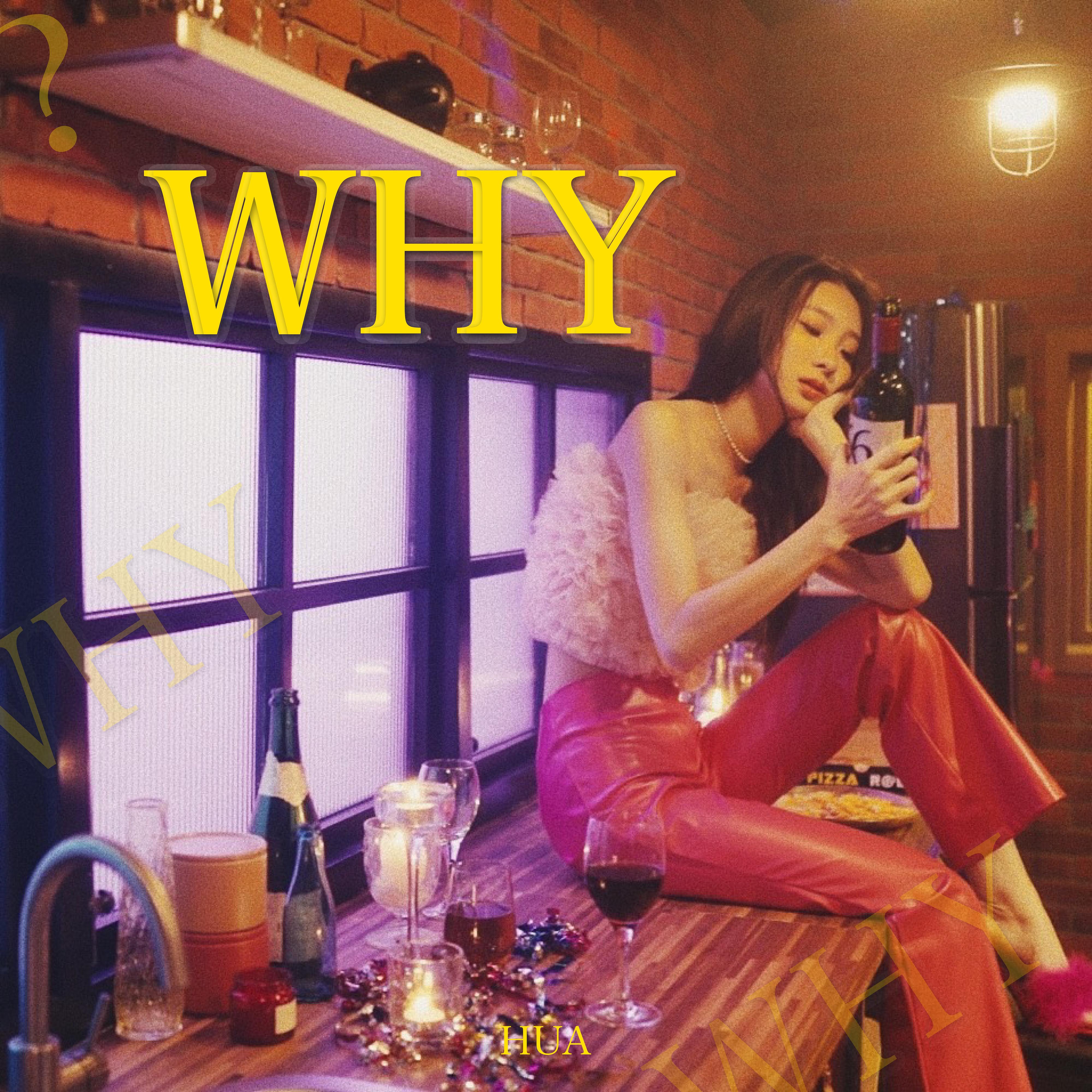WHY 海報