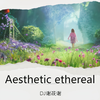 DJ谢筱谢 - Aesthetic ethereal 伴奏