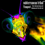 Subterranean Tribal Vol.2专辑