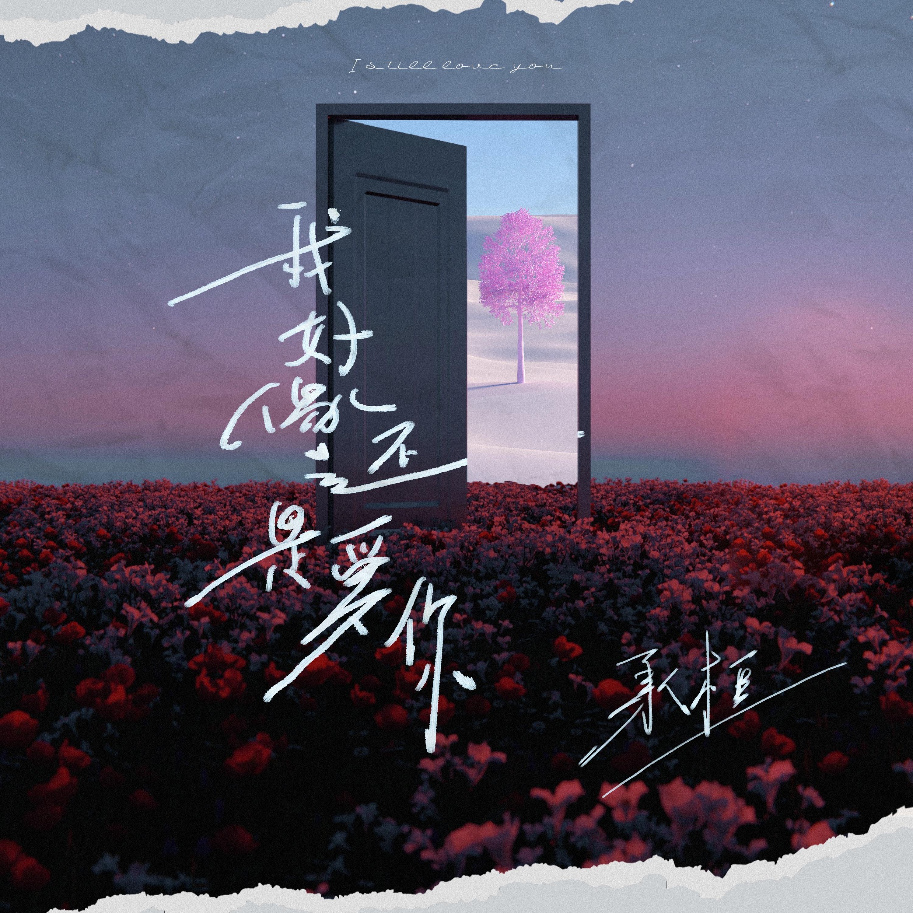 我好像还是爱你 海报