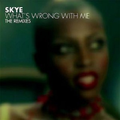 What\'s Wrong With Me: The Remixes