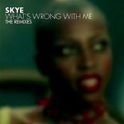 What\'s Wrong With Me: The Remixes专辑